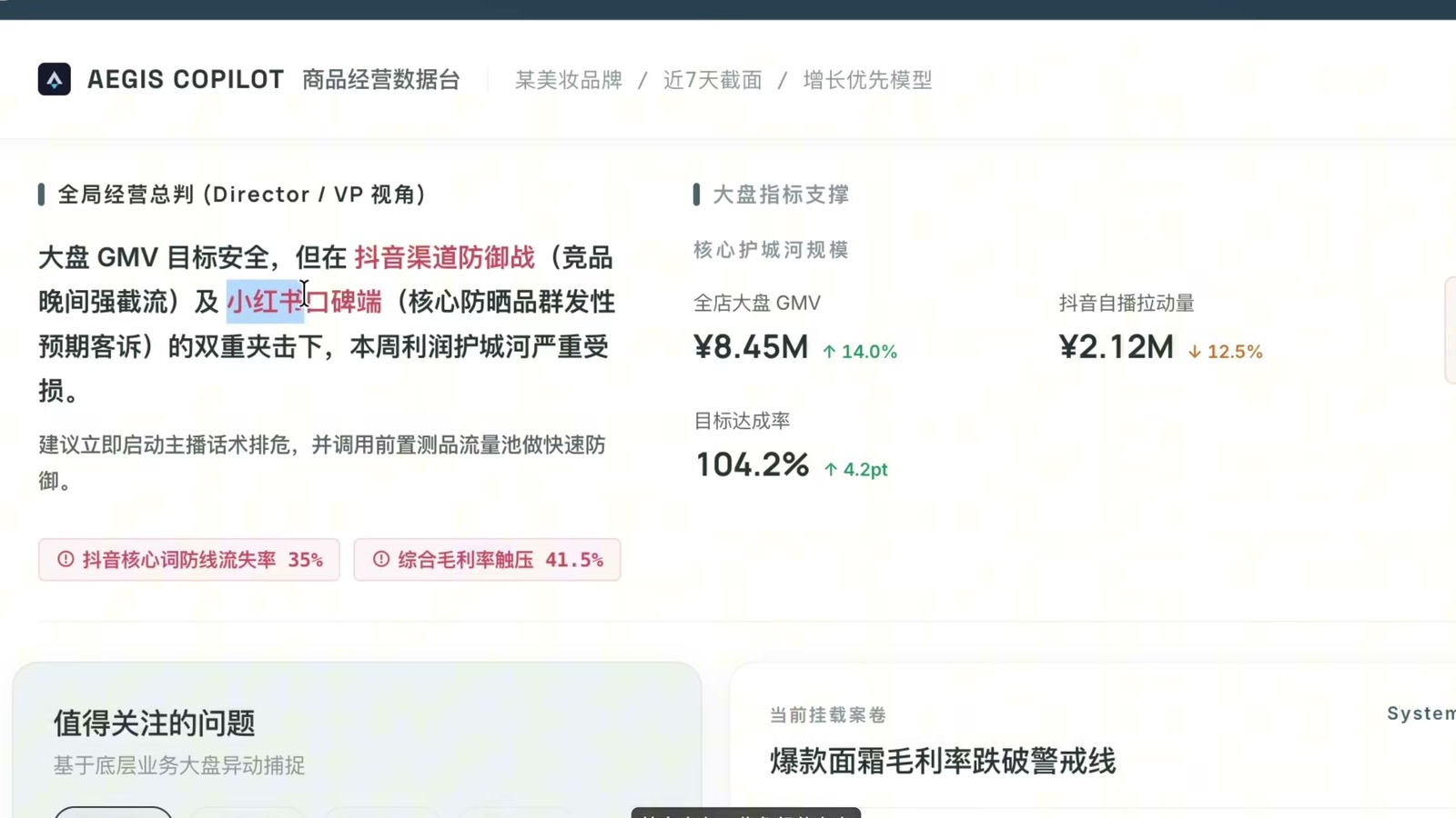 AEGIS Copilot 问题识别界面视频帧